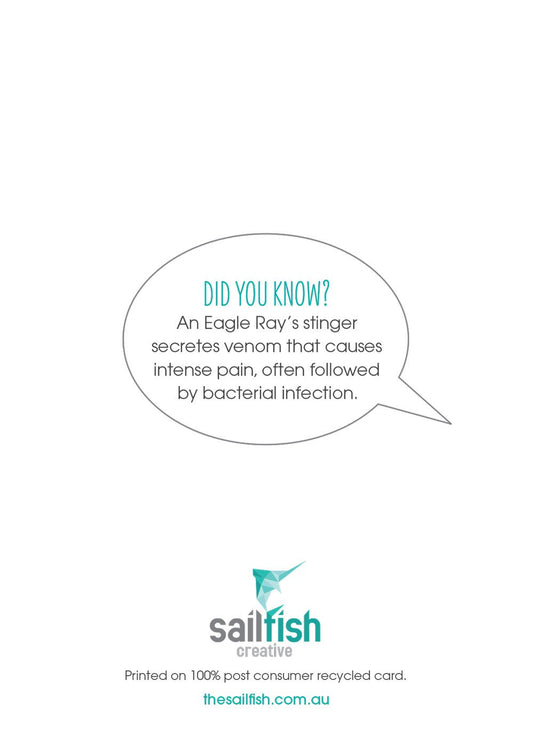 Birthday Card - Anchor and Chain