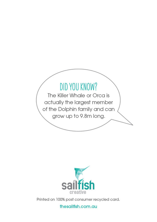 Birthday Card - Killer Whale Orca