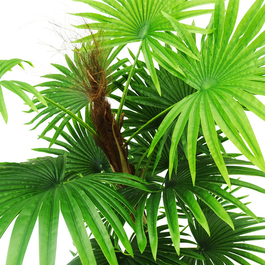 Fan Palm with Pot 160cm