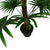 Fan Palm with Pot 160cm