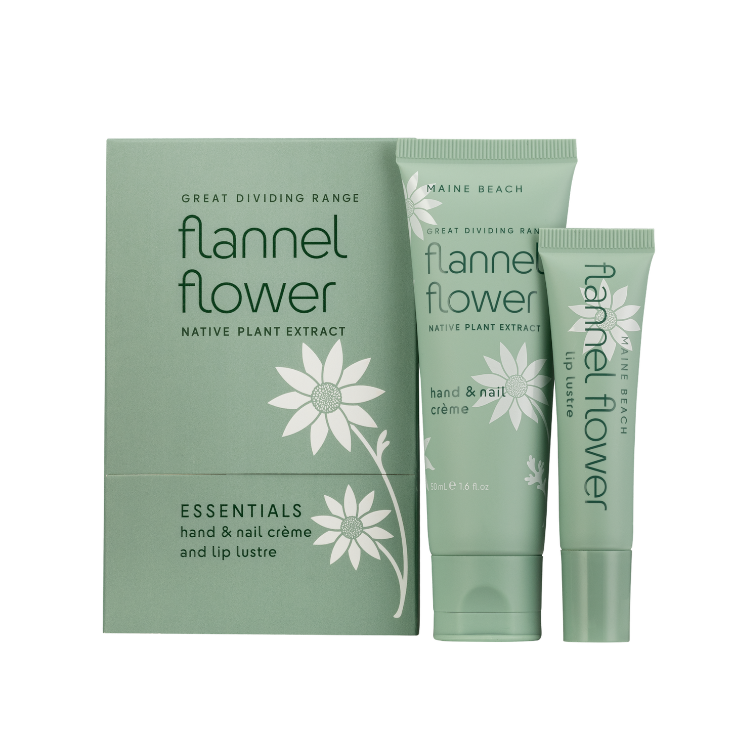 Flannel Flower Essentials Pack