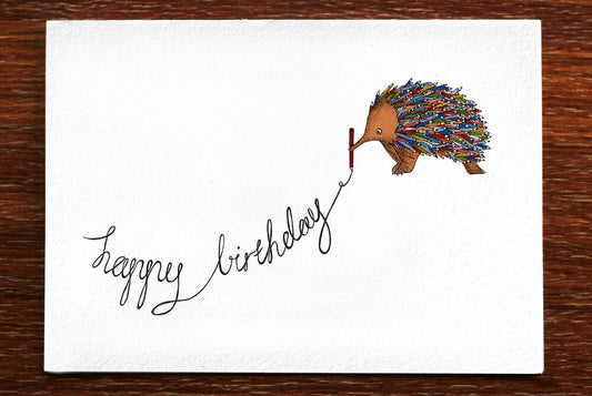 Colouring Echidna Birthday Greeting Card