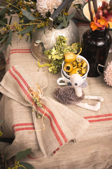 Mini Eddie The Emu Rattle