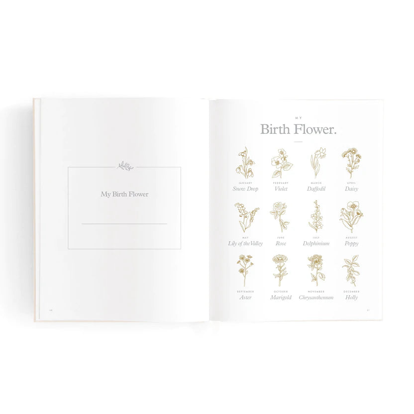 Baby Book mini Oatmeal Boxed
