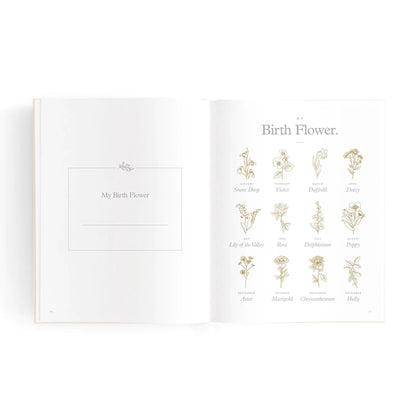 Baby Book mini Oatmeal Boxed