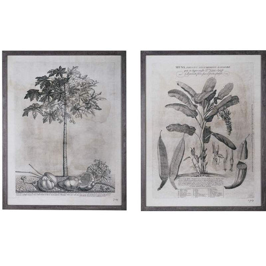 Grey Palm Print (Set of 2) - pre order