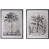 Grey Palm Print (Set of 2)