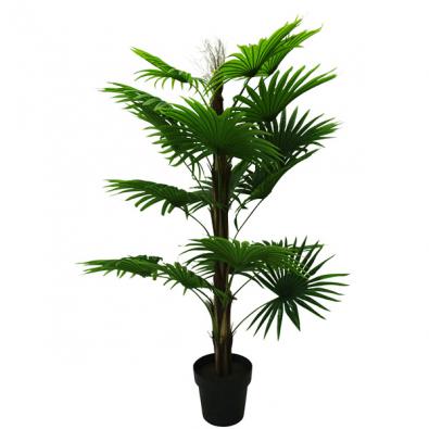Fan Palm with Pot 160cm