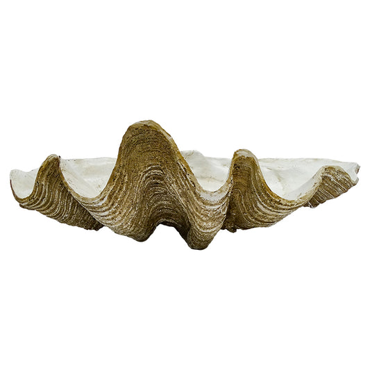 Original Columbus Clam Shell Decor White