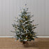 LED Potted Balsam Snow / Flocked Tree Xmas