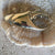 Pinchy Crab Claw Bottle Opener- Gold