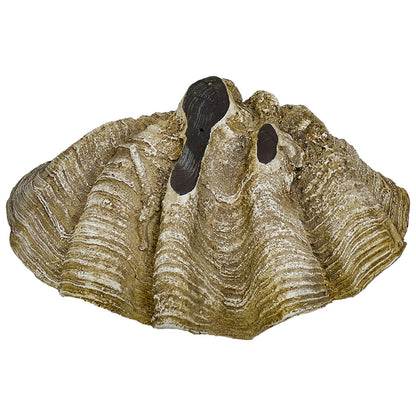 Original Columbus Clam Shell Decor White