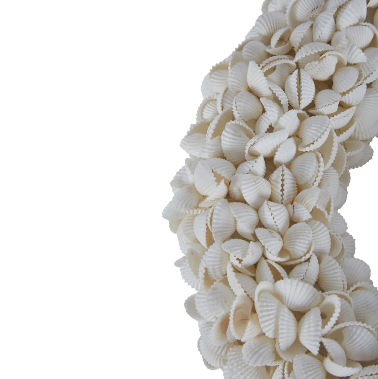 Sea Shell Wreath
