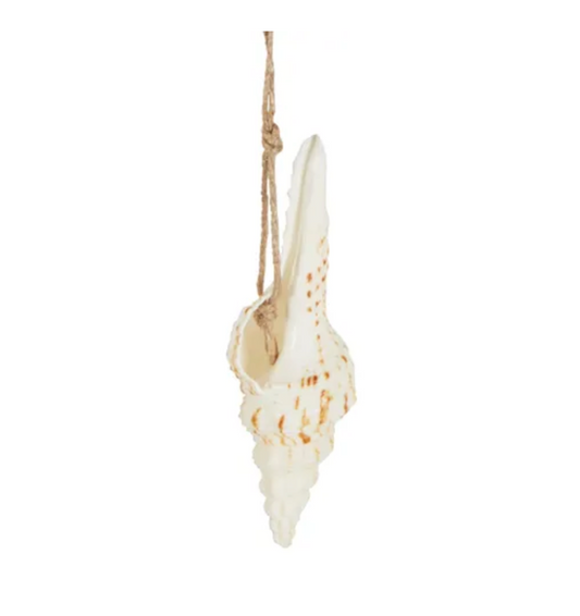 Dee Why Hanging Shell Ornament