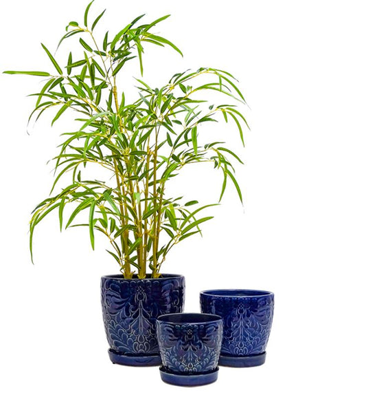 Mia Pot & Saucer Set of 3 (unsuitable for shipping)