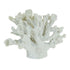 Coral Decor White 30cmL