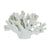 Coral Decor White 30cmL