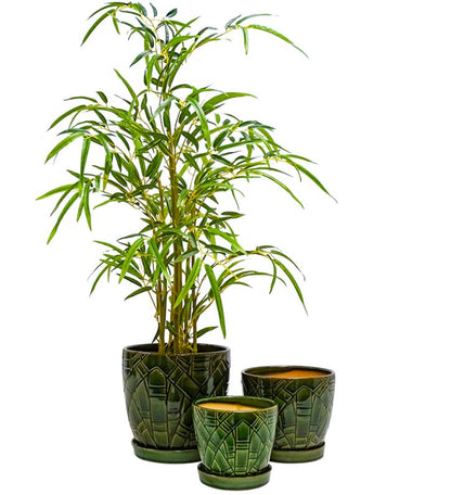 Peyton Pot & Saucer Set of 3 (unavailable for shipping)