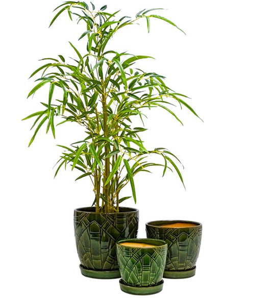Peyton Pot & Saucer Set of 3 (unavailable for shipping)