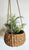 Seagrass Belly Hanging Planter