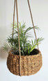 Seagrass Belly Hanging Planter