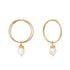 Gold and Pearl Drop Hoop Earrings