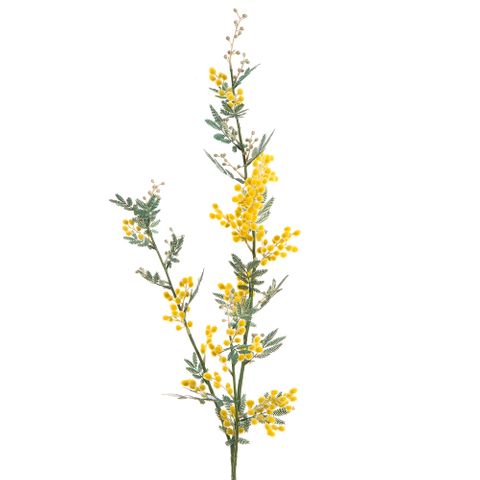 Mimosa Spray Yellow