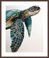 Great Ocean Turtle Wall Art