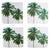 Palm Beach Coasters Set of 4