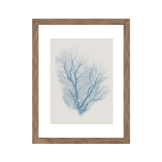 Belize Blue Singal Fan Coral Print in Timber Frame Wall Art