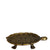 Tortoise Plate Small Antique Gold