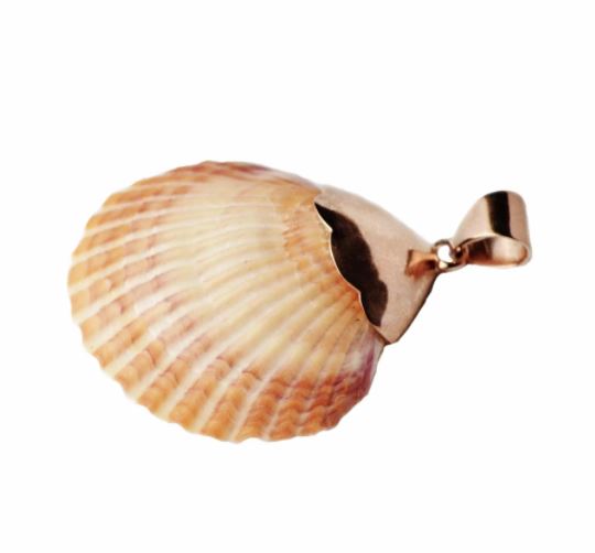 Carmen Scallop Pendant Rose Gold